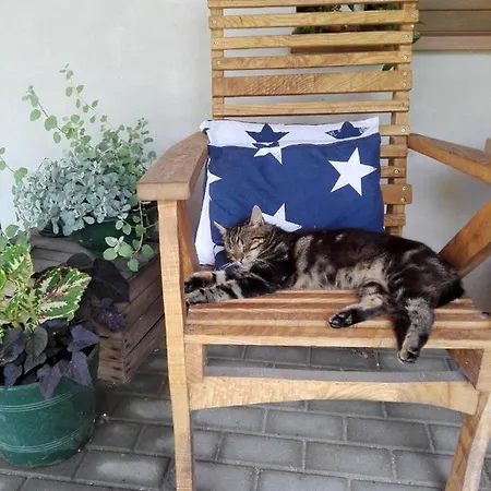 Cold Sea Bed & Breakfast