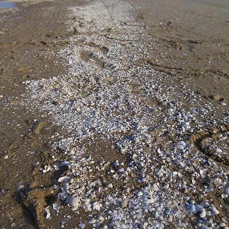 Cold Sea