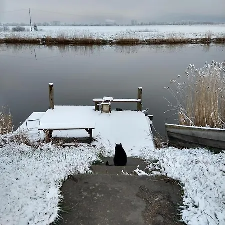 Cold Sea Sztutowo