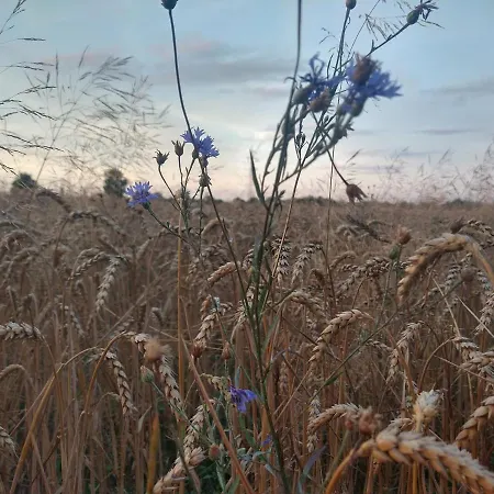 Cold Sea 3* Sztutowo