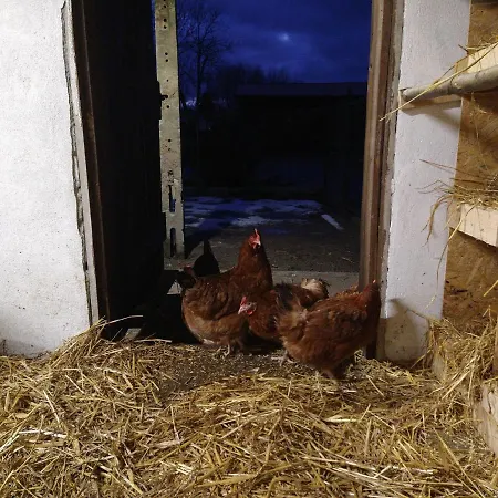 Cold Sea Bed & Breakfast 3*