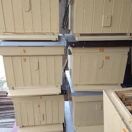 Bed & Breakfast Cold Sea 3*