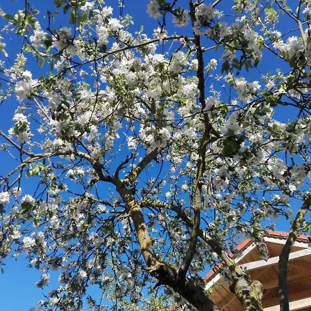 Cold Sea ベッド・アンド・ブレックファスト