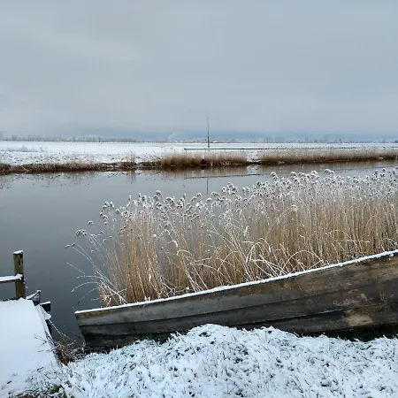 Cold Sea