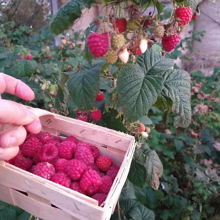 Cold Sea 3* Sztutowo