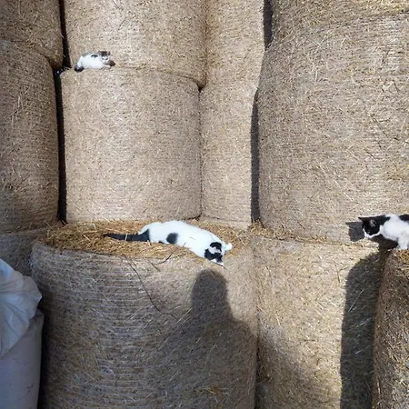 Bed & Breakfast Cold Sea