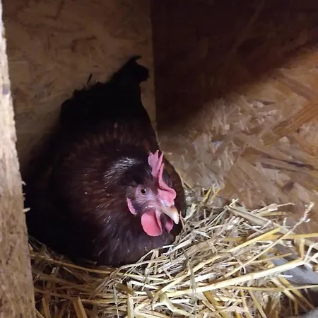 Bed & Breakfast Cold Sea