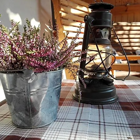 Couette-café Cold Sea Sztutowo