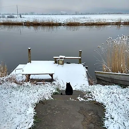 Cold Sea Sztutowo