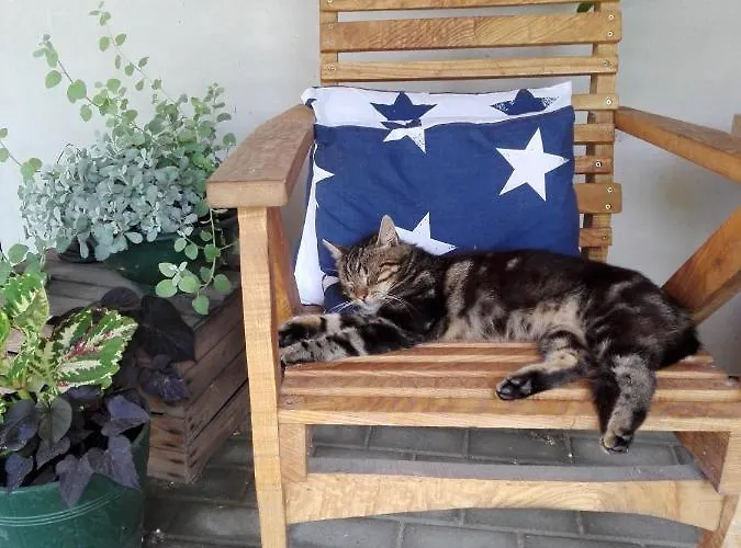 Cold Sea Bed and Breakfast