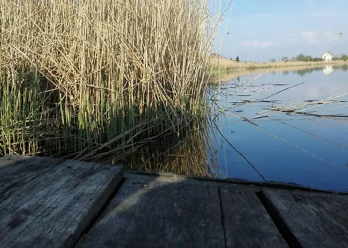 Bed and Breakfast Cold Sea 3*