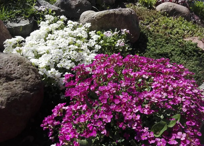 Bed and Breakfast Cold Sea