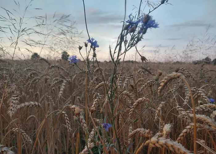 Cold Sea 3* Sztutowo