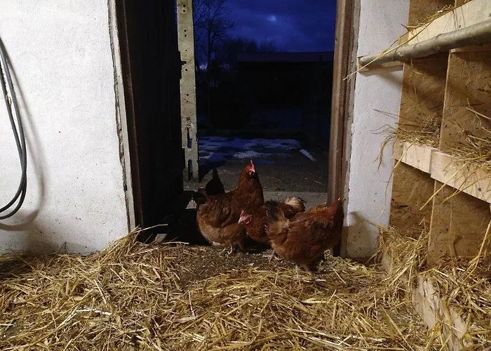 Cold Sea Bed and Breakfast 3*