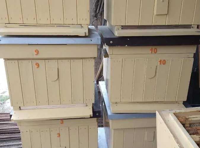 Bed and Breakfast Cold Sea 3*