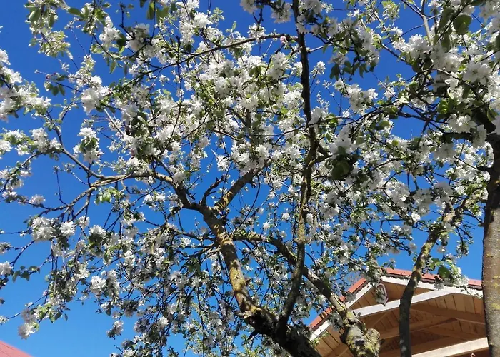 Cold Sea Bed and Breakfast