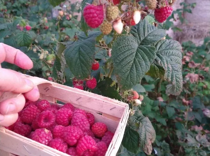 Cold Sea 3* Sztutowo