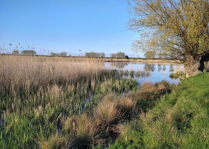 Bed and Breakfast Cold Sea 3*